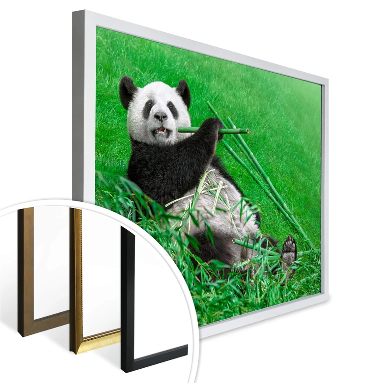Poster Ben Heine - Glücklicher Panda 