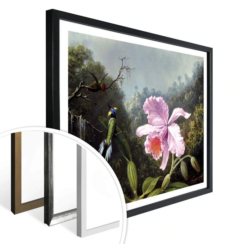 Poster Heade - Stillleben mit Orchidee und Kolibris 