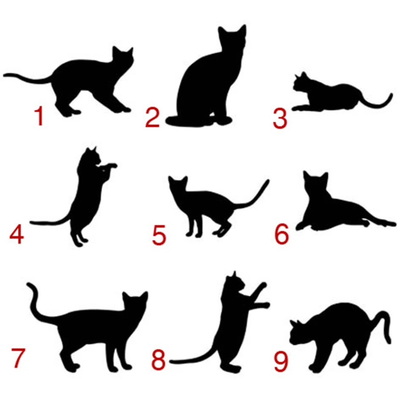 Cats Wall sticker 