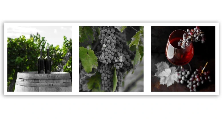 Leinwandbild, Obst Weinberg 