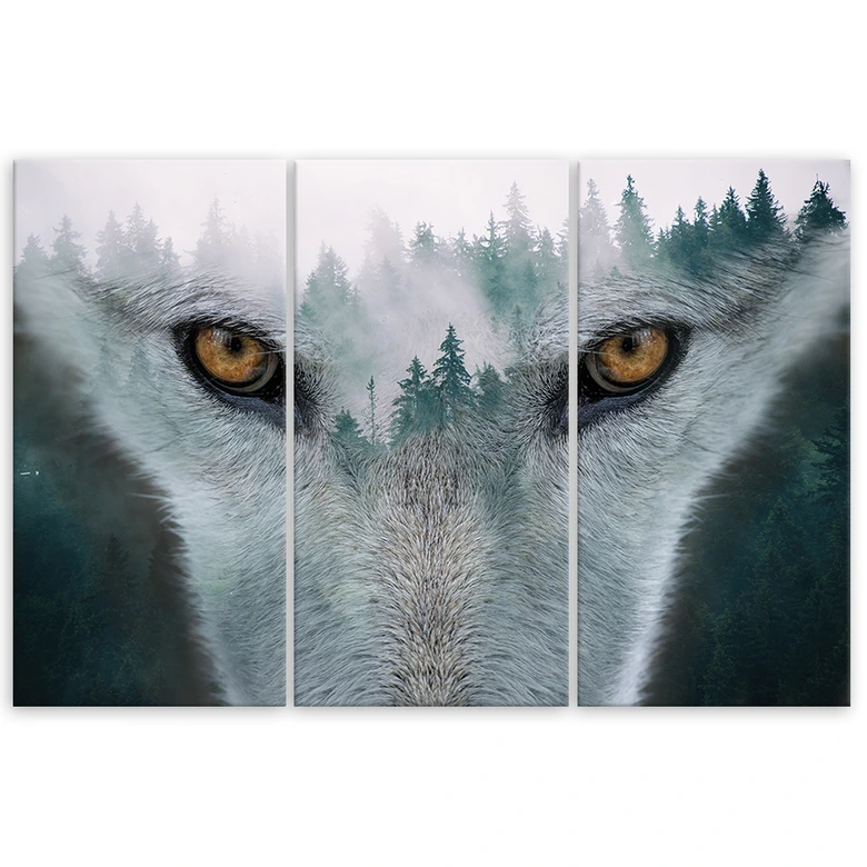 3-delige canvas print, Wolf Bos Mist Natuur Bomen 