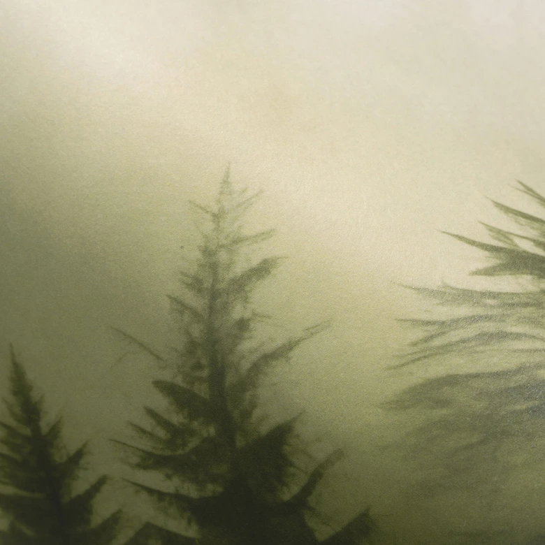 Tapeta krajobrazowa Big Pictures zielona 4,50 x 2,70 m 