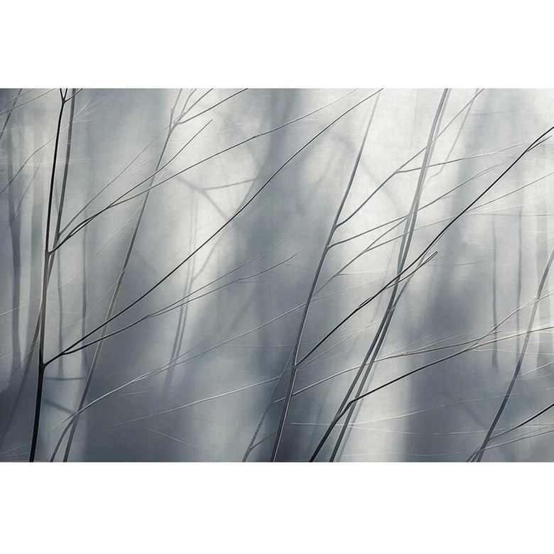 Guido Maria Kretschmer Fototapete Aeries- Art Edition 2  grau 