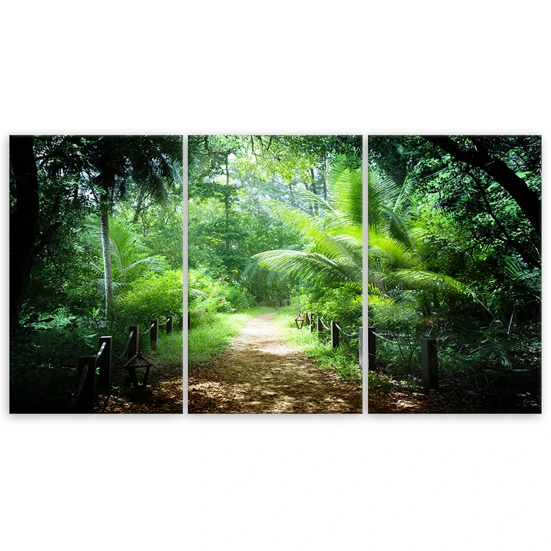 Leinwandbild 3-teilig, Grüner Waldweg 
