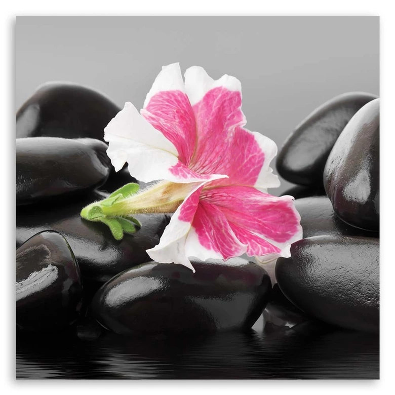 Leinwandbild, Rosa Blume auf Steinen 