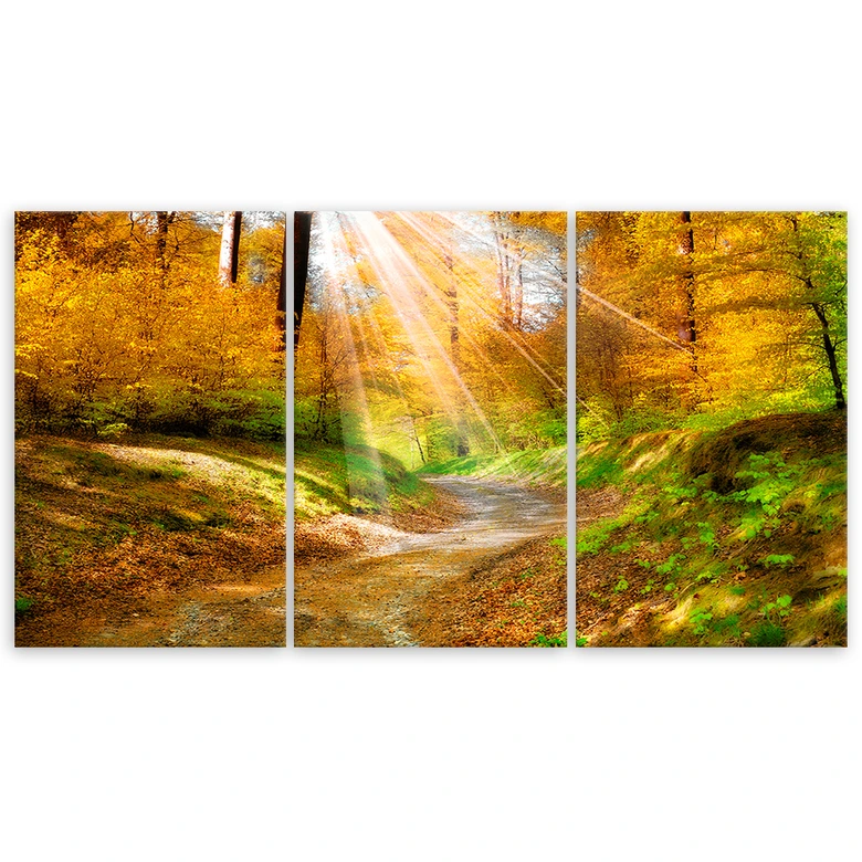 Leinwandbild 3-teilig, Wald Herbst Natur 