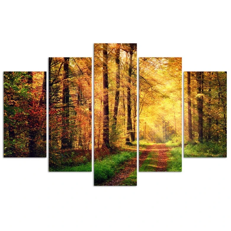 Leinwandbild 5 teilig, Wald Herbst 
