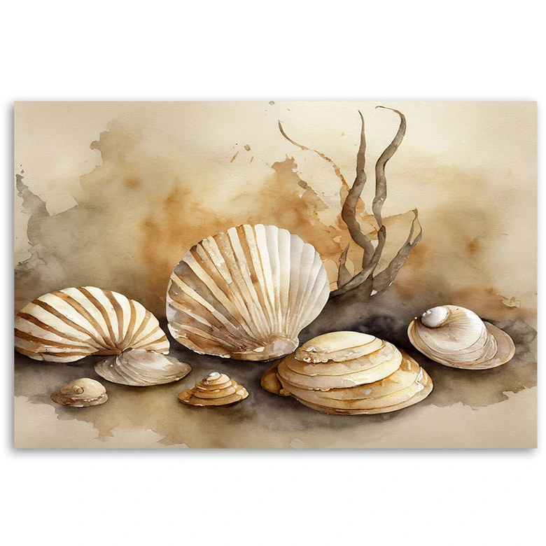 Leinwandbild, Meeresmuscheln Acryl 