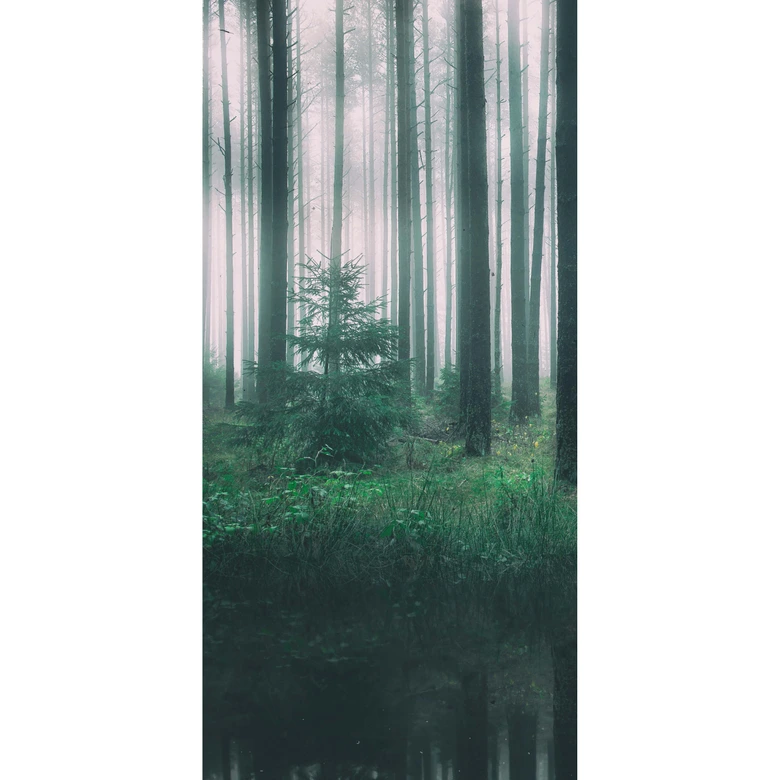 Fototapete - Lindsten - Im Wald 