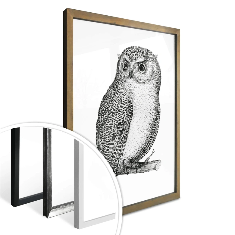 Póster Kvilis - Búho vigilante 