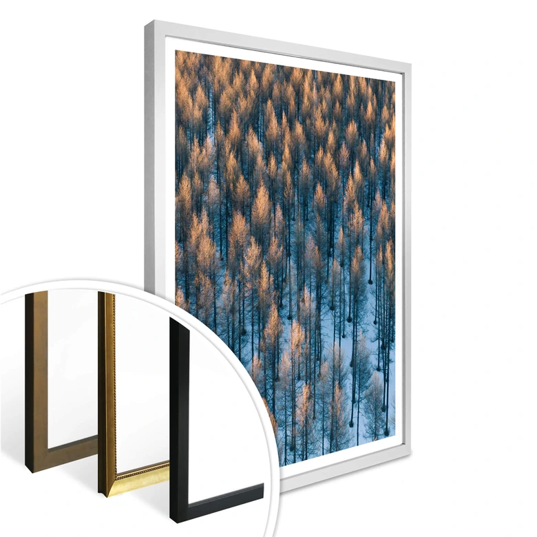 Poster Bingo - Sonnenaufgang im Wald 