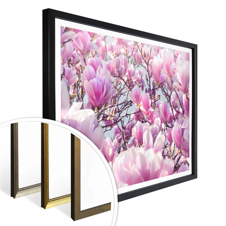 Poster Delgado - Magnolienbaum 