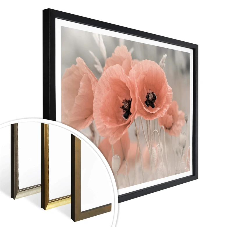 Poster Delgado - Mohn in Pastell 