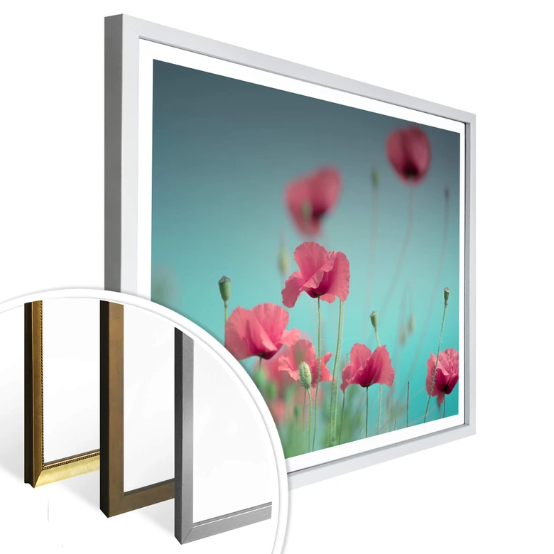 Poster Delgado – Mohnblumen Pastell 