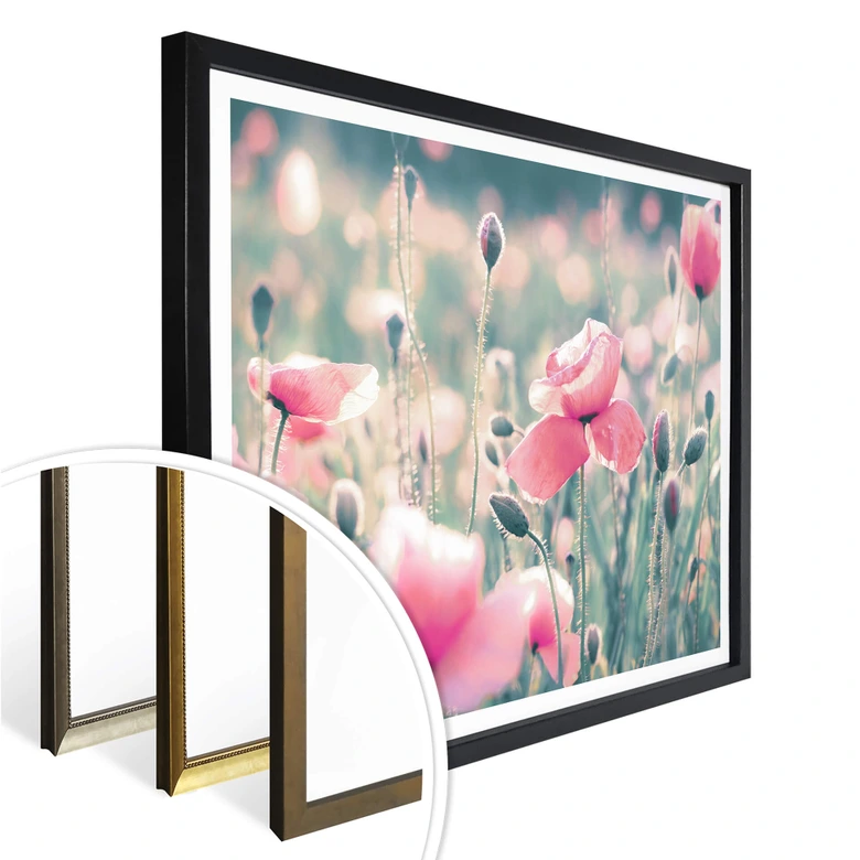 Póster Delgado - Momentos flor de amapola 