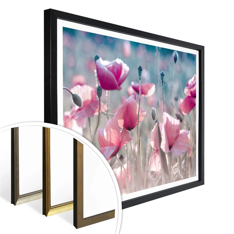 Poster Delgado - Champ de coquelicots 