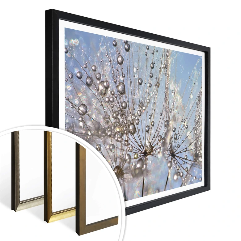 Poster Delgado - Wassertropfen in der Pusteblume 