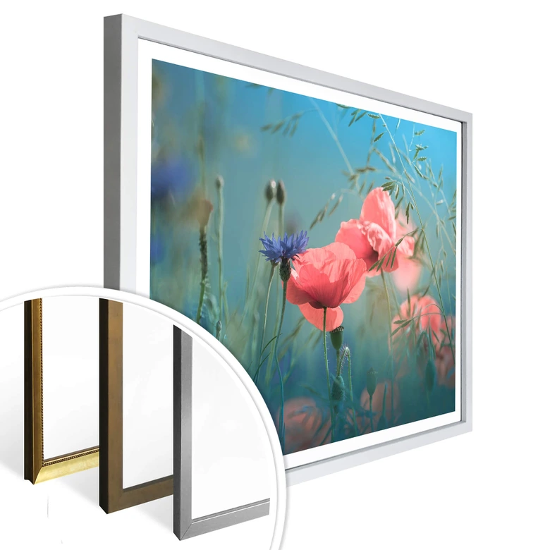 Poster Delgado - Wildblumen Aquamarin 