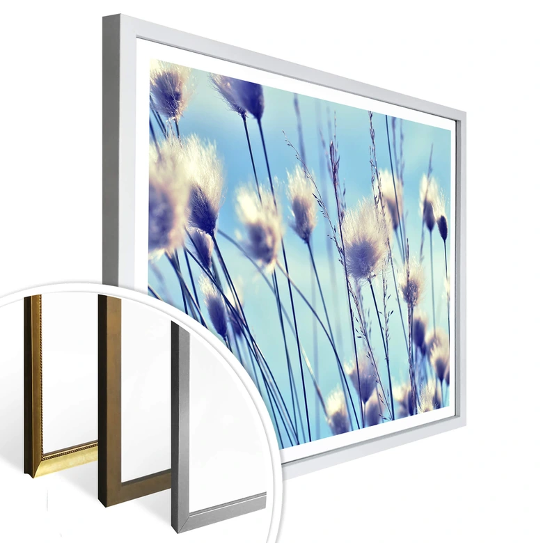 Poster Delgado - Vind i gräset 