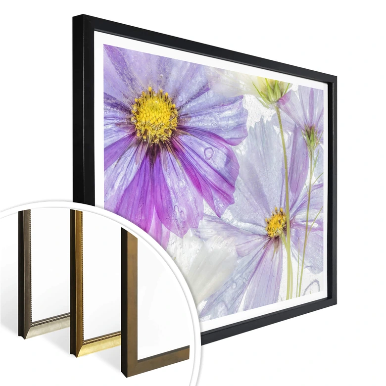 Poster Disher - Frozen Flowers 