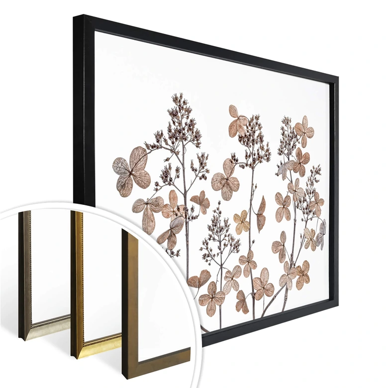 Poster Disher - Flores secas 