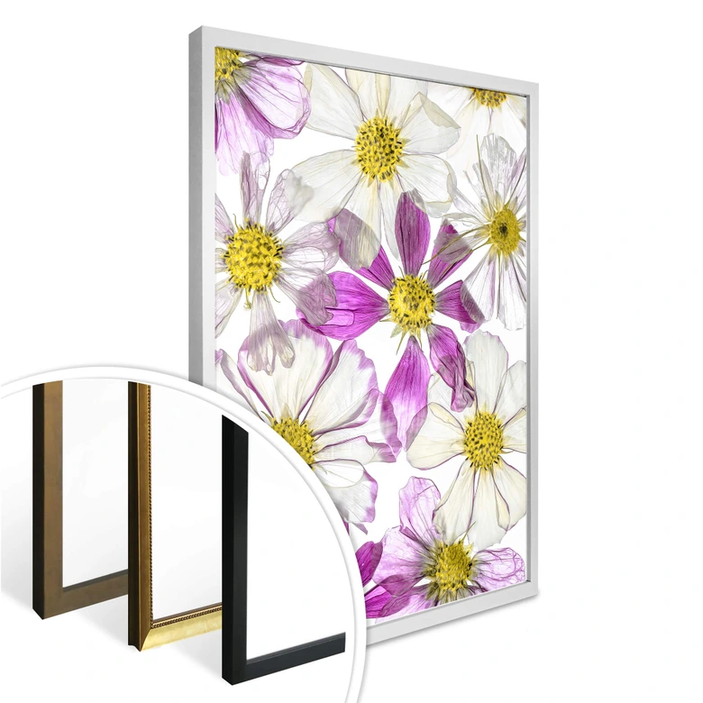 Poster Disher - Keeping Summer 