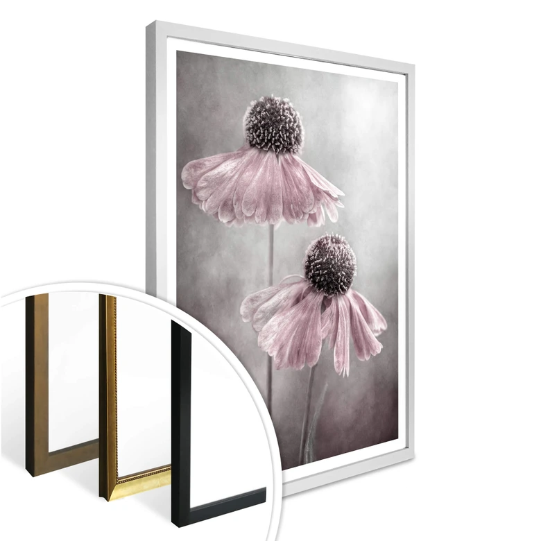 Poster Disher - Rosa Duett 