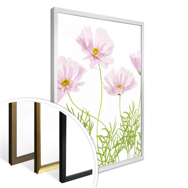Poster Disher - Sommerblume 