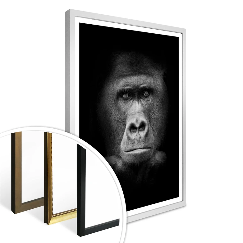 Poster Gorilla 