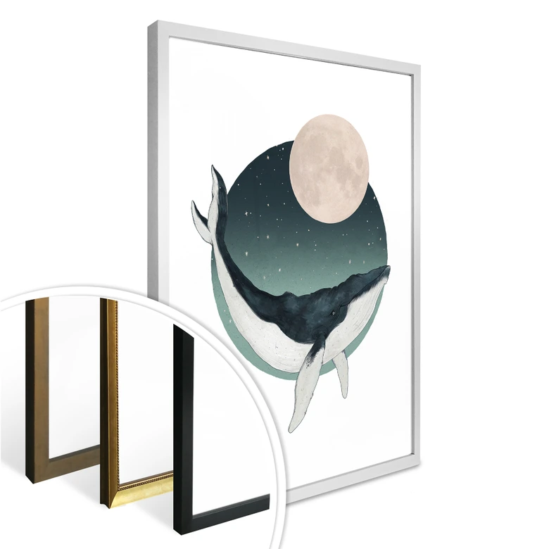 Poster Graves - Humpback 