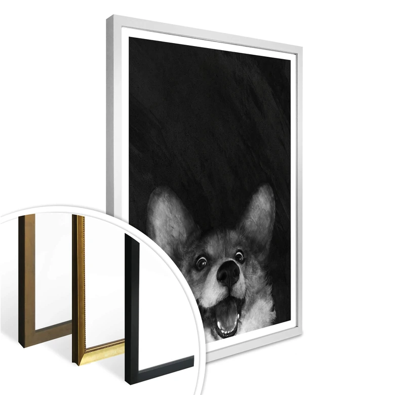 Poster Graves - Sausage Fox Corgi 
