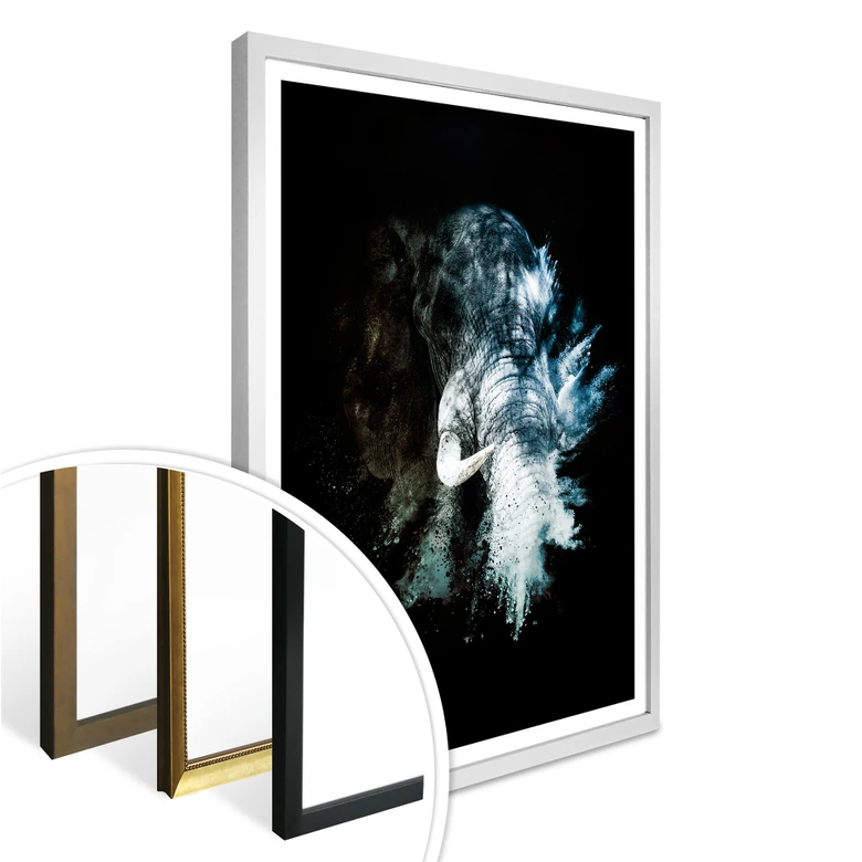 Póster Hugonnard - Explosión salvaje: Elefante 