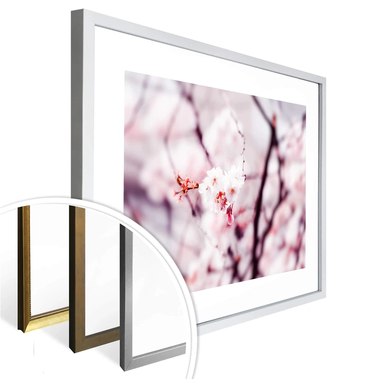 Poster Kirschblüte 02 