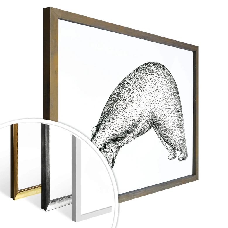 Poster Kvilis - Ours Yoga 01 