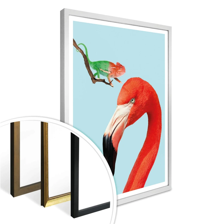 Poster Loose - Colorful Friends 