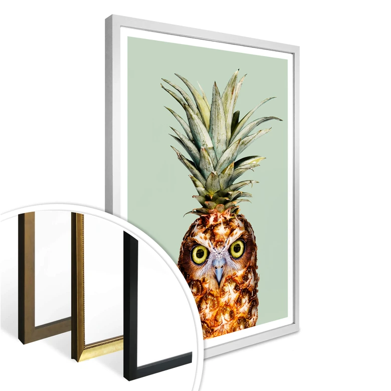 Poster Loose - Ananaseule 