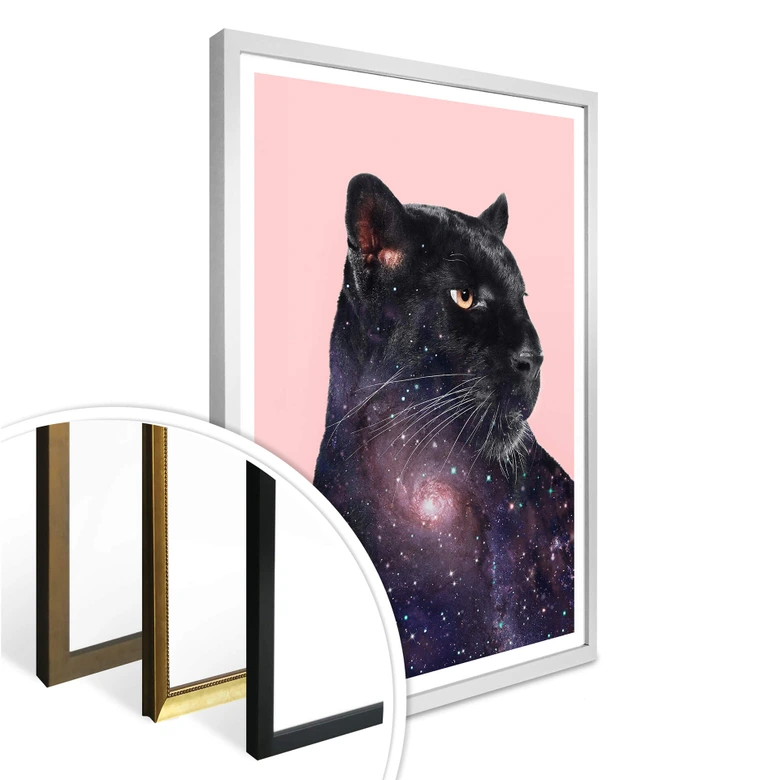 Poster Loose – Galaxy Panther 