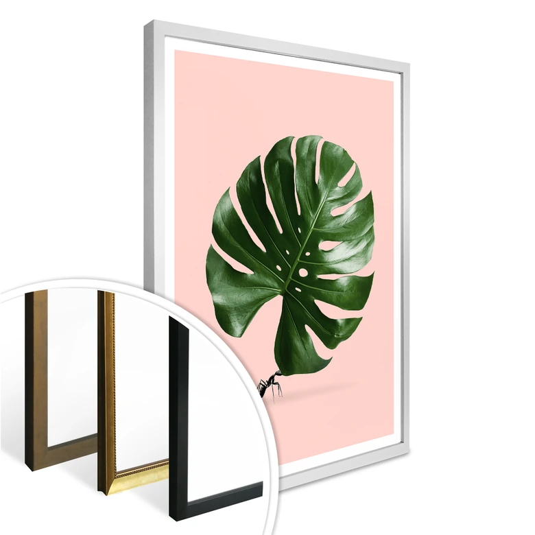Poster Loose - Monstera Ant 
