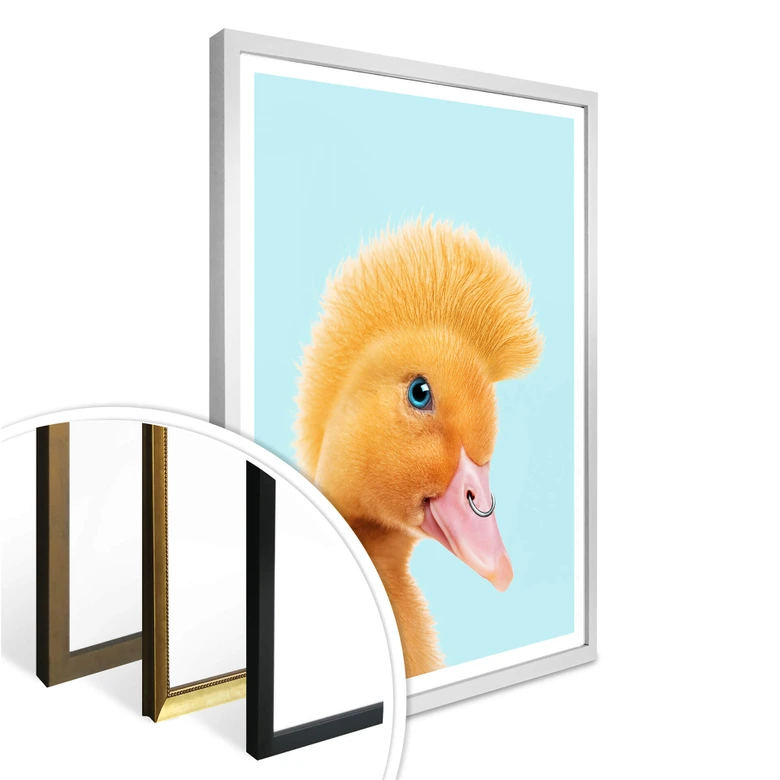 Poster Loose - Canard rebelle 