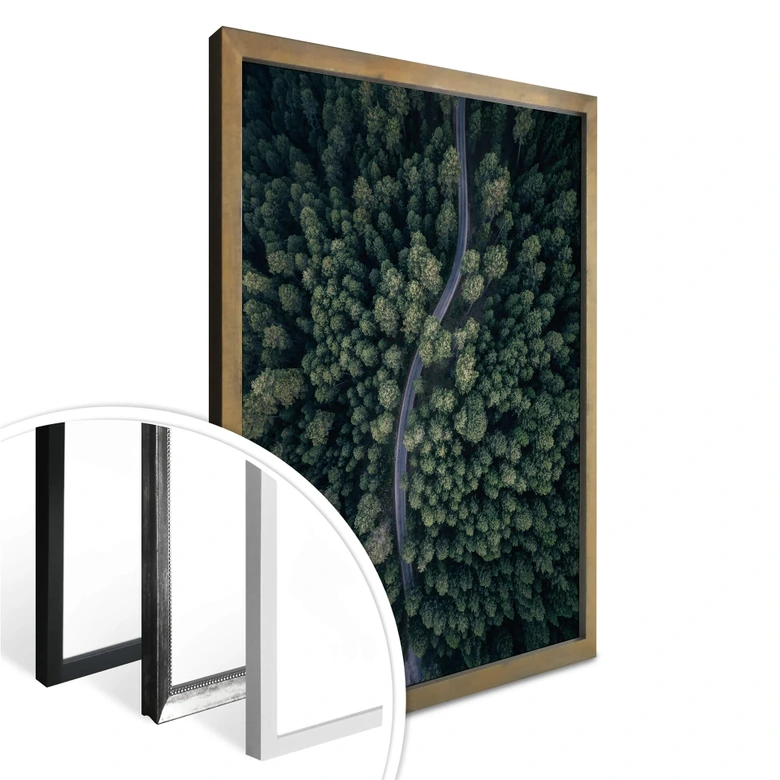 Póster López - La vista desde arriba: Carretera en el bosque 