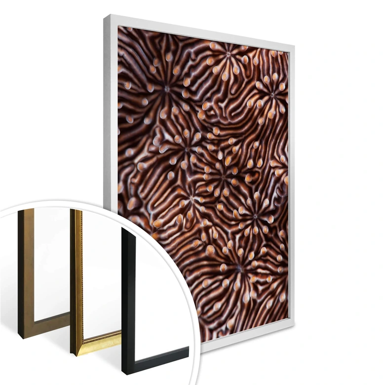 Poster Narchuk - Hypnotic Maze 