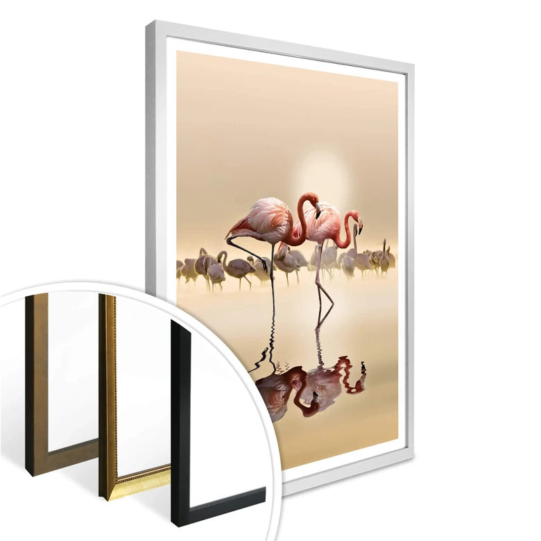 Poster Osman - Flamingo 