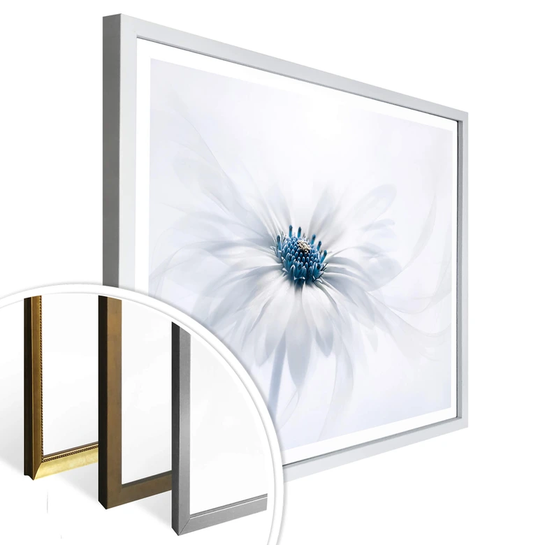Poster Parker - Frozen Flower 