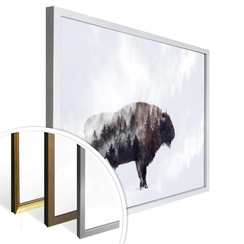 Poster Beáta - Der Bison 