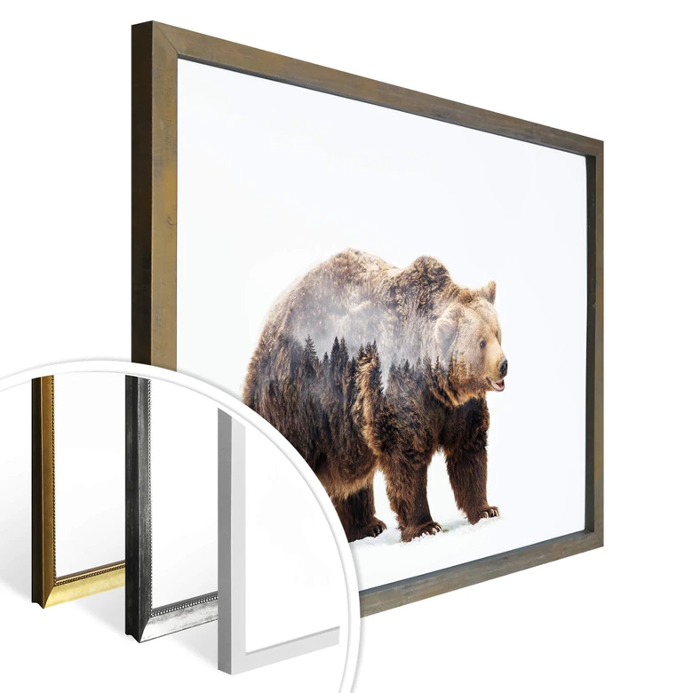 Poster Beáta - Der Bär 