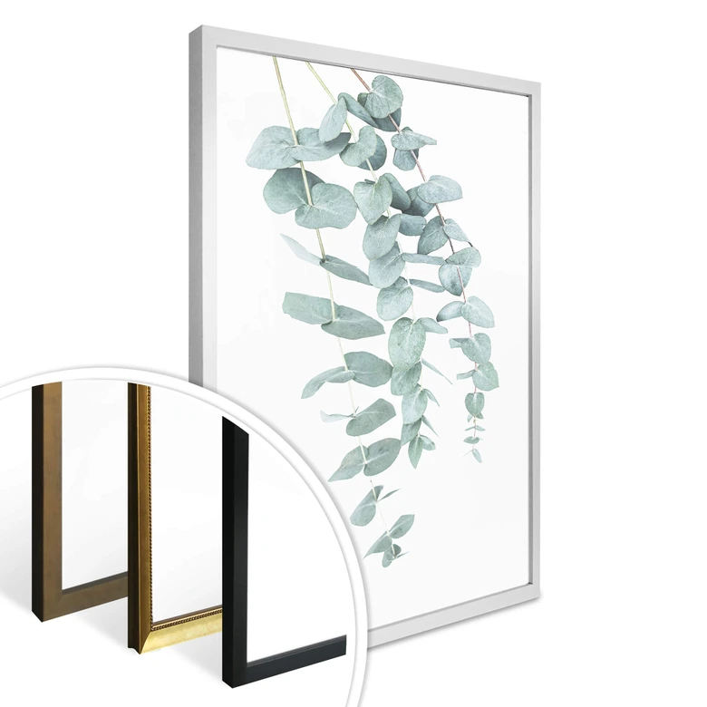 Poster Sisi & Seb - Eucalyptus 