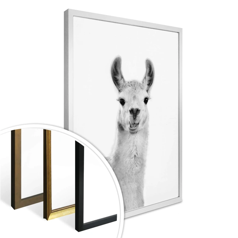 Poster Sisi & Seb - Happy Lama 