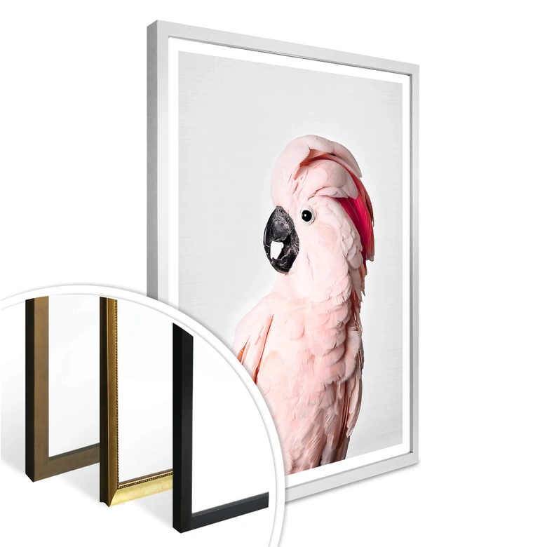 Plakat Sisi & Seb - Różowy kakadu 