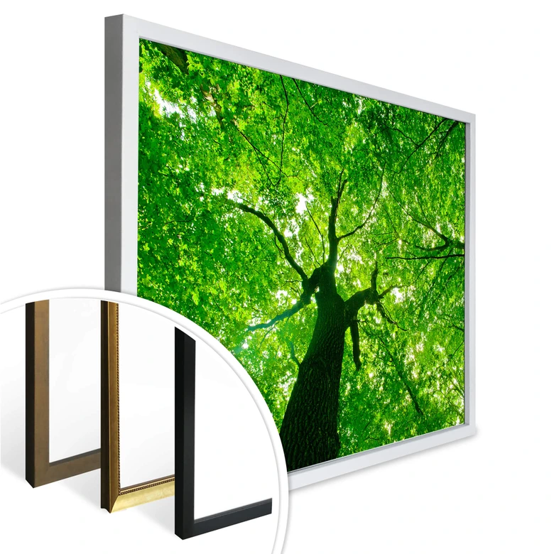 Poster Under the Trees 