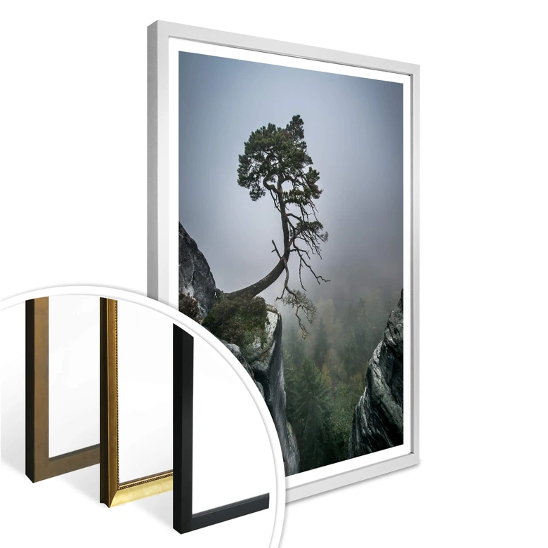Poster Wonisch - Kräfte der Natur 